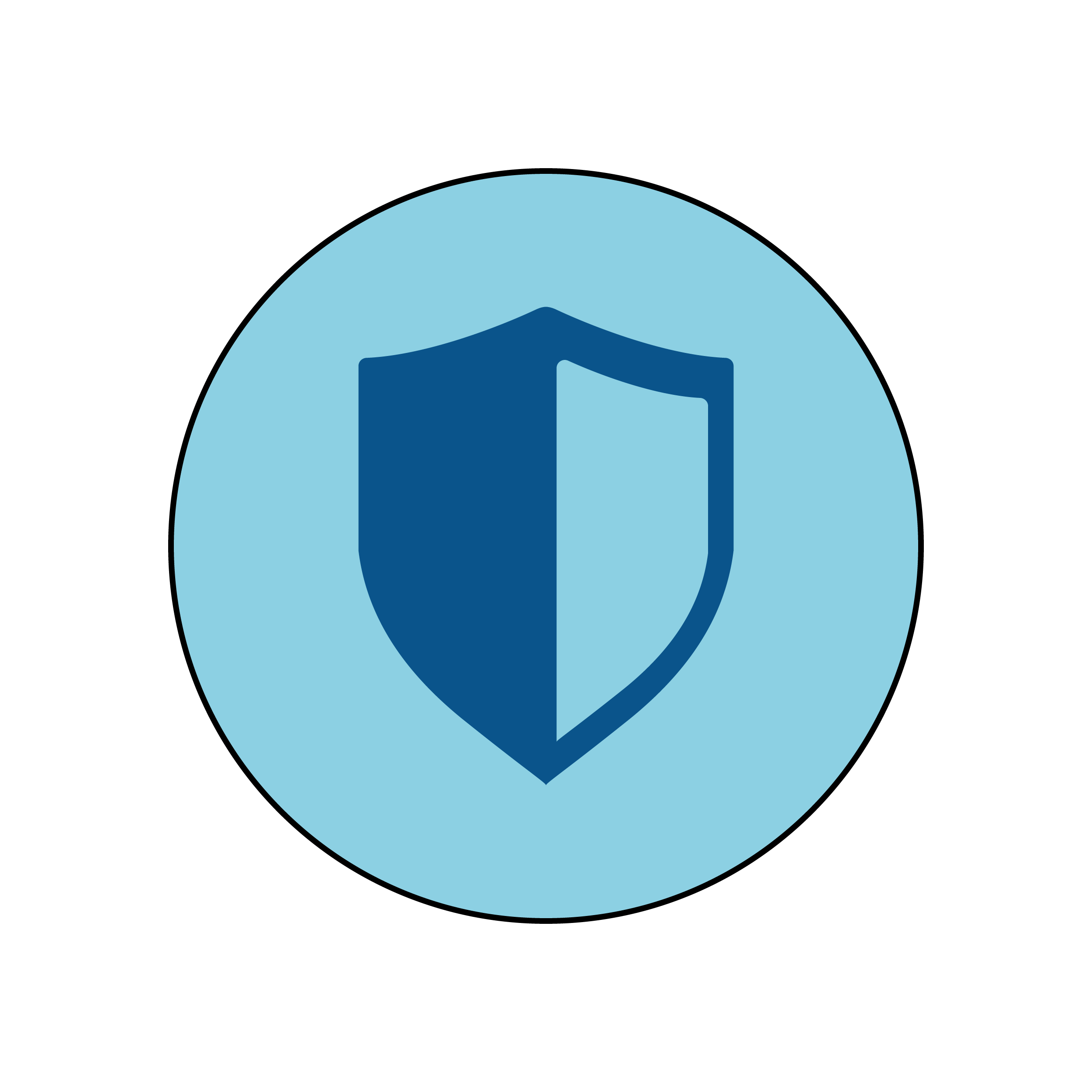 Icons_alkaya_Homepage_mit_Kontur_Protection_01